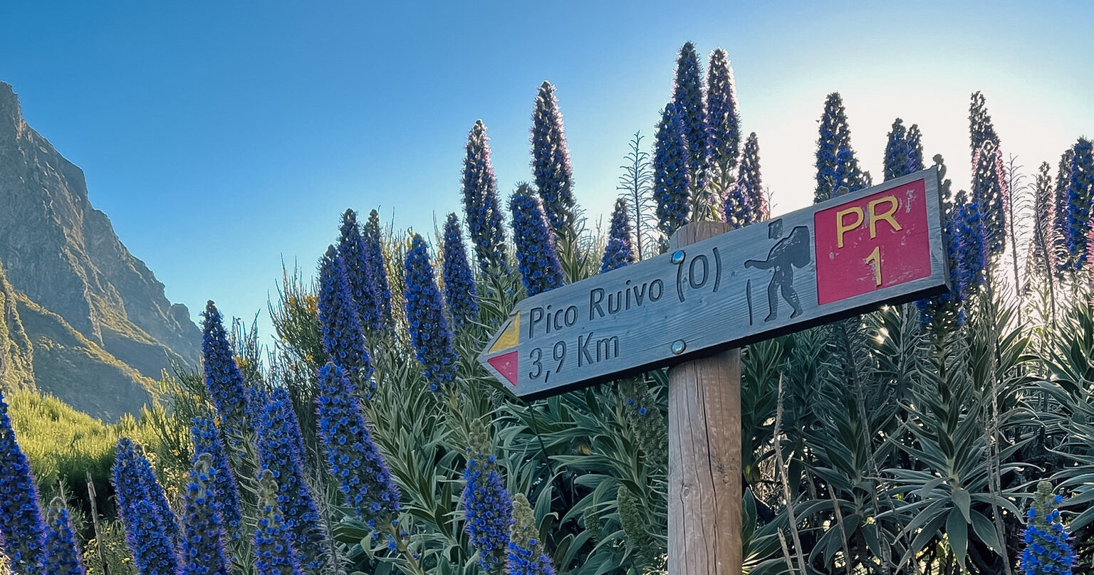 Une semaine sur l’ile de Madère